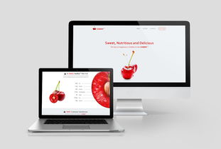 網(wǎng)頁(yè)設(shè)計(jì)合輯