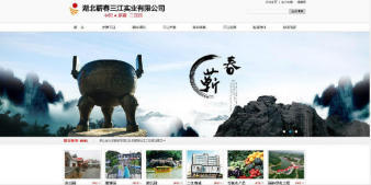 武漢企業(yè)網(wǎng)站設(shè)計建設(shè)*公司