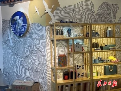 武漢市人民政府門戶網(wǎng)站的開發(fā)與優(yōu)化策略