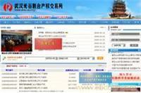 武漢網(wǎng)站設(shè)計(jì)與優(yōu)化推廣 一站式網(wǎng)絡(luò)宣傳解決方案